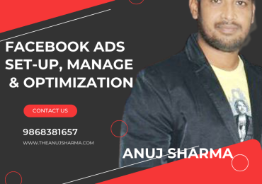 I will set up and optimize facebook ads with targeted audience