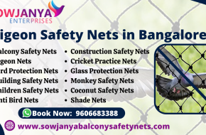 Pigeon Safety Nets in Bangalore